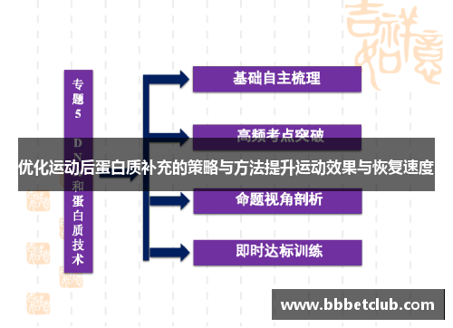 优化运动后蛋白质补充的策略与方法提升运动效果与恢复速度