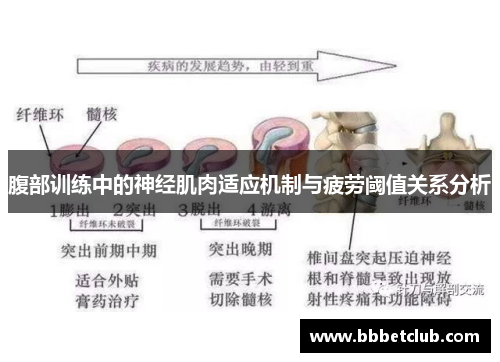 腹部训练中的神经肌肉适应机制与疲劳阈值关系分析